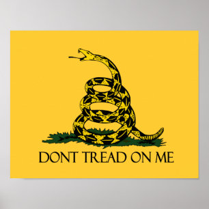 Don't Tread on Me, Gadsden Flag Patriotic History Poster