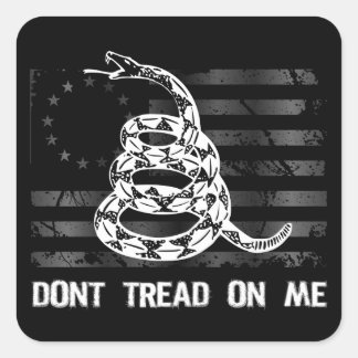 Dont Tread On Me II Sticker