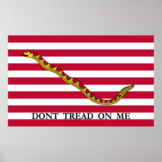 Don't Tread On Me - Navy Jack Flag Poster (Front)