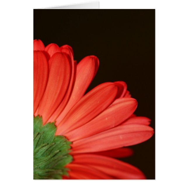 Don't turn your back on me (Front)