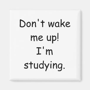 Dont Wake Me Up Im Studying Magnet