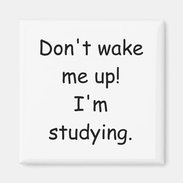 Dont Wake Me Up Im Studying  Magnet (Front)