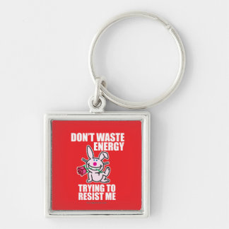 Don't Waste Energy Key Ring