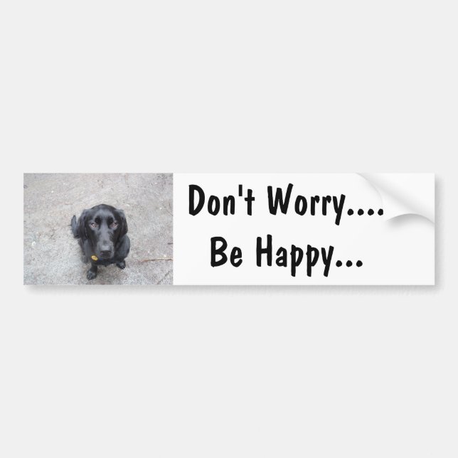Don't Worry .... Be Happy Bumper Sticker (Front)