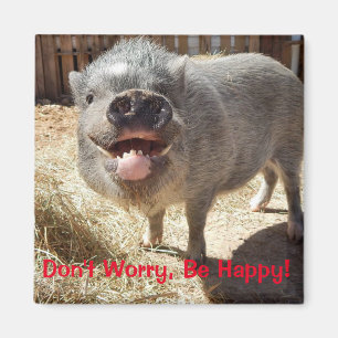 Don't Worry, Be Happy, Pig Square Magnet
