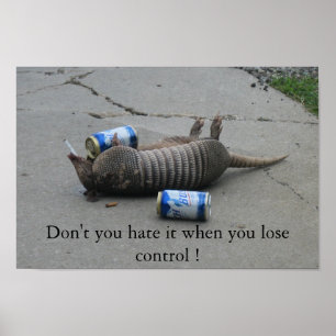 Don't you hate it when you lose control poster