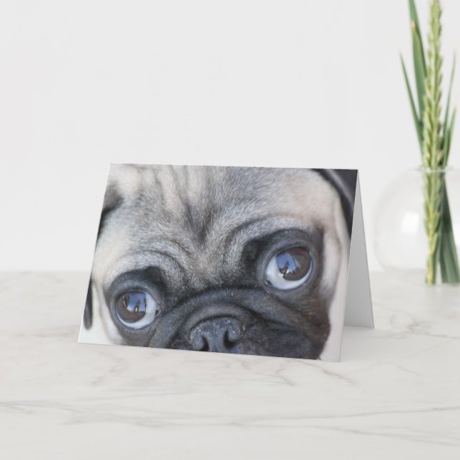 Doobie's Eyes Card (Front)