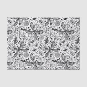 Doodle bugs on dark blue tissue paper