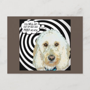 Doodle Days Comics Feed Me Postcard