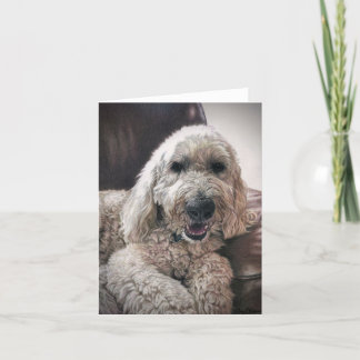Doodle dog blank notecard