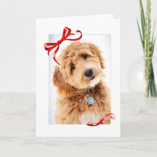 Doodle Dog Christmas Card