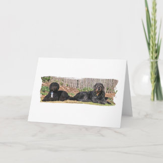 Doodle greeting card