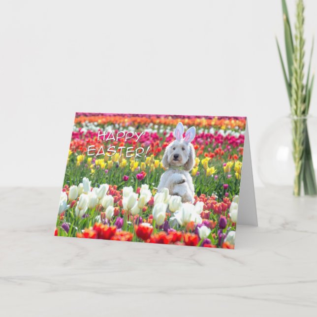 Doodle Happy Easter Card (Front)