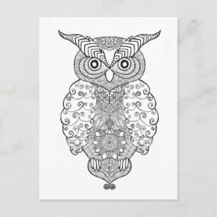 Doodle Owl Postcard