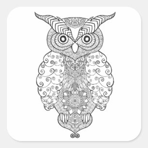 Doodle Owl Square Sticker