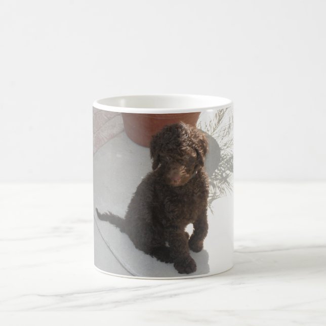 DoodlePoodle Coffee Mug (Center)