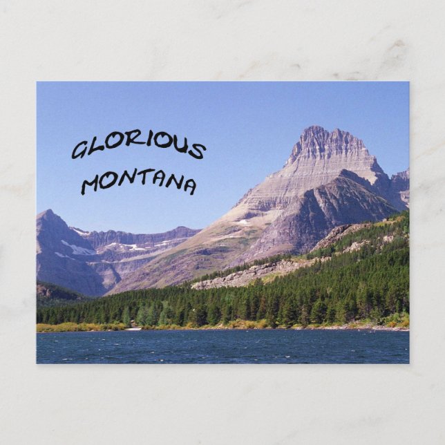 doodles 741 postcard (Front)