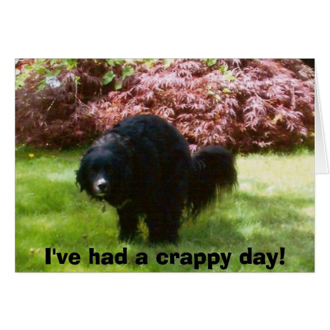 doodles, I've had a crappy day! (Front Horizontal)