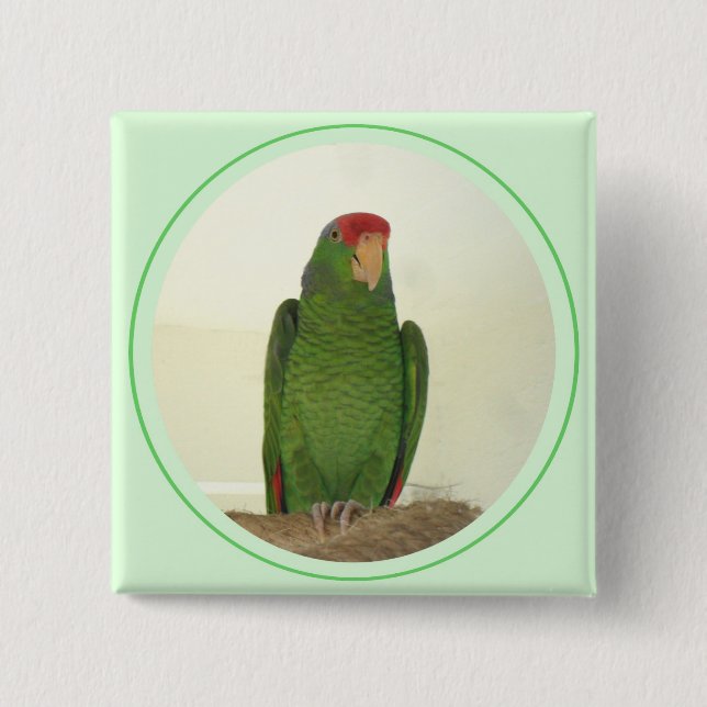 Dooley 1 15 cm square badge (Front)