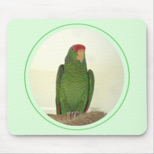 Dooley 1 mouse mat