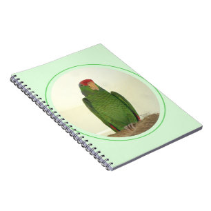 Dooley the Parrot Notebook