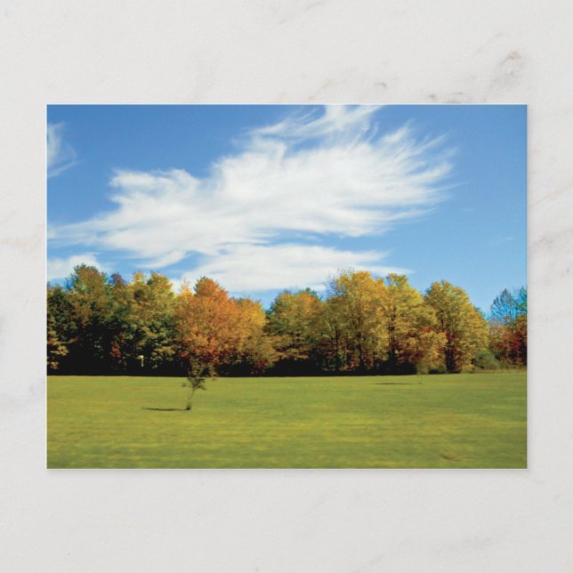 Door County Fall Postcard (Front)