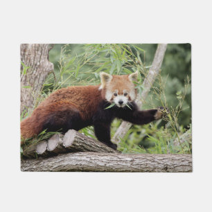 Doormat Photo red panda , animals 0234.