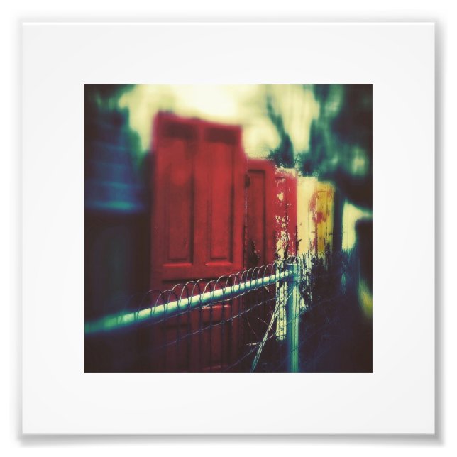 Doors Photo Print (Front)