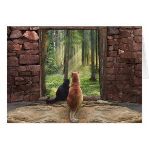 Doorway into Forever