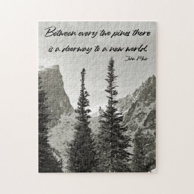 Doorway to a New World - 11x14 inch Jigsaw Puzzle (Vertical)