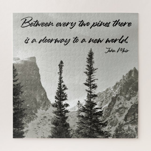 Doorway to a New World - 20x20 inch Jigsaw Puzzle (Vertical)