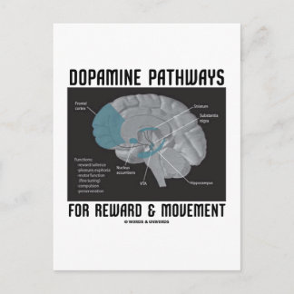 Dopamine Pathways For Reward & Movement Postcard