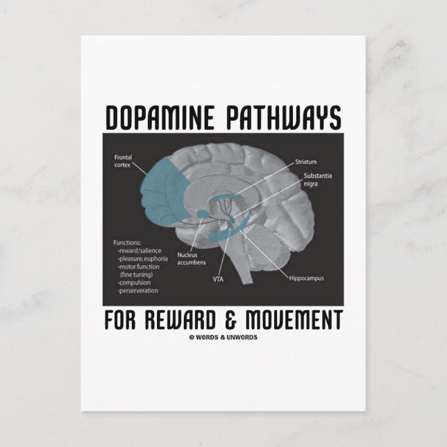 Dopamine Pathways For Reward & Movement Postcard (Front)