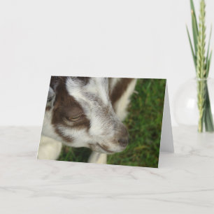 Dopey Card