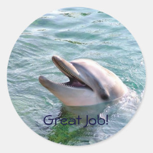 Dophin School Binder Teacher Reward Sticker