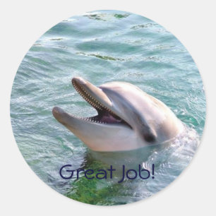 Dophin School Binder Teacher Reward Sticker