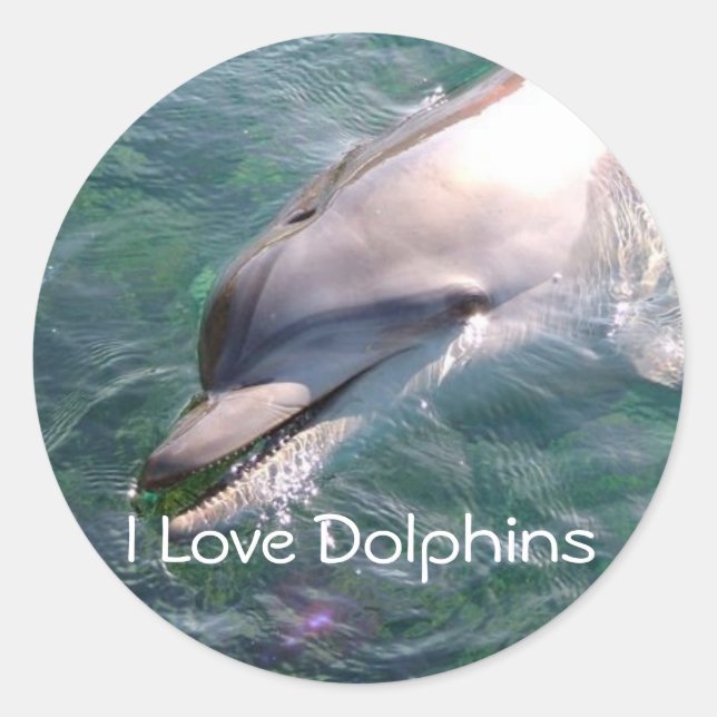 Dophin School Teacher Reward Sticker (Front)