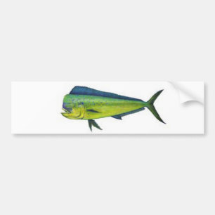 Dorado Bumper Sticker