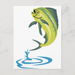 Dorado dolphin fish or mahi mahi postcard