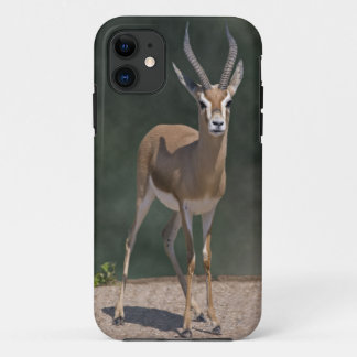 Dorcas Gazelle iPhone 5 Case