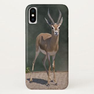 Dorcas Gazelle iPhone X Case