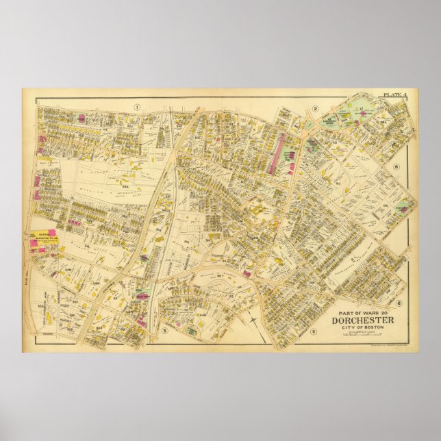 Dorchester, Massachusetts 7 Poster (Front)