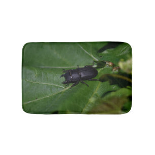 Dorcus parallelipipedus , the lesser stag beetle bath mat