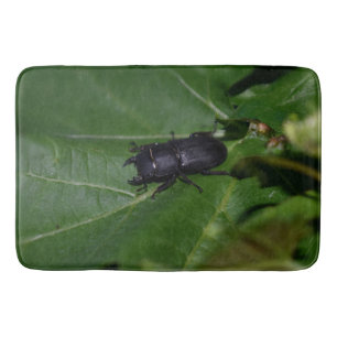 Dorcus parallelipipedus , the lesser stag beetle bath mat