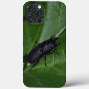 Dorcus parallelipipedus , the lesser stag beetle iPhone 13 pro max case