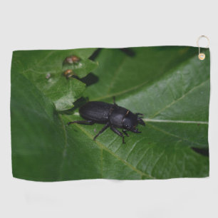 Dorcus parallelipipedus , the lesser stag beetle golf towel