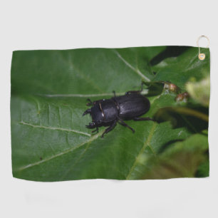 Dorcus parallelipipedus , the lesser stag beetle golf towel