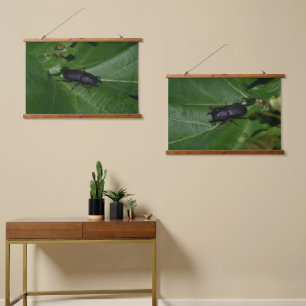 Dorcus parallelipipedus , the lesser stag beetle hanging tapestry