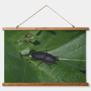 Dorcus parallelipipedus , the lesser stag beetle hanging tapestry