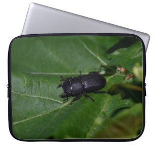 Dorcus parallelipipedus , the lesser stag beetle laptop sleeve